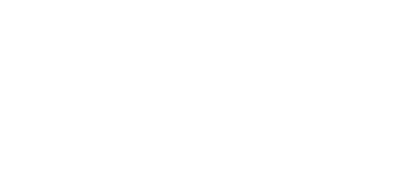 SOFTONE GROUP